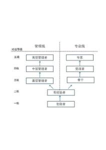 职业发展双通道示意图