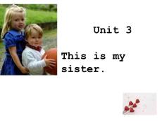 初一英语unit-3-section-a电子课件