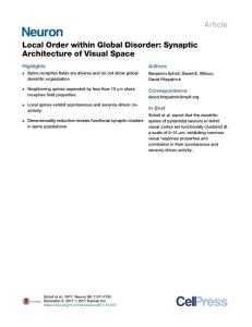 Local-Order-within-Global-Disorder--Synaptic-Architecture-of-Visu_2017_Neuro