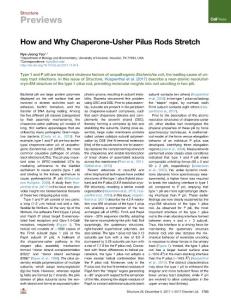 How-and-Why-Chaperone-Usher-Pilus-Rods-Stretch_2017_Structure
