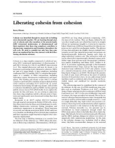 Genes Dev.-2017-Bloom-2113-4-Liberating cohesin from cohesion