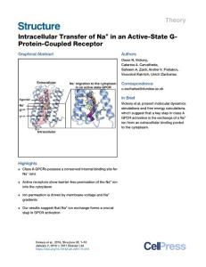 Intracellular-Transfer-of-Na--in-an-Active-State-G-Protein-Coup_2017_Structu