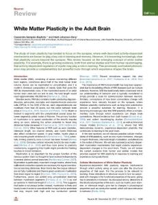 White-Matter-Plasticity-in-the-Adult-Brain_2017_Neuron