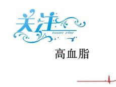 高血脂 ppt课件