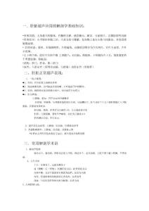 超聲臨床應用的解剖學基礎知識