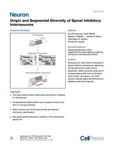 Origin-and-Segmental-Diversity-of-Spinal-Inhibitory-Interneurons_2018_Neuron