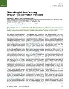 Shh-ushing-Midline-Crossing-through-Remote-Protein-Transport_2018_Neuron