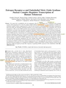 雌激素受體與內(nèi)皮型一氧化氮合酶核復(fù)合體調(diào)節(jié)人端粒酶的轉(zhuǎn)錄