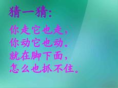 二年级美术上册 影子大王 3课件 湘美版.ppt