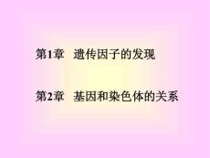 生物必修2復習課件