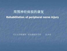 周围神经病损的康复PPT课件