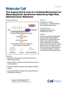 Molecular Cell-2018-The Augmented R-Loop Is a Unifying Mechanism for Myelodysplastic Syndromes Induced by High-Risk Splicing Factor Mutations-