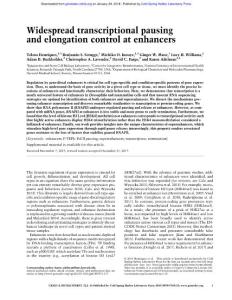Genes Dev.-2018-Henriques-Widespread transcriptional pausing and elongation control at enhancers