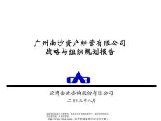 ××有限公司戰(zhàn)略與組織規(guī)劃報告.ppt