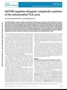 nchembio.2478-GATOR1 regulates nitrogenic cataplerotic reactions of the mitochondrial TCA cycle