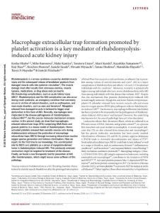 nm.4462-Macrophage extracellular trap formation promoted by platelet activation is a key mediator of rhabdomyolysis-induced acute kidney injury