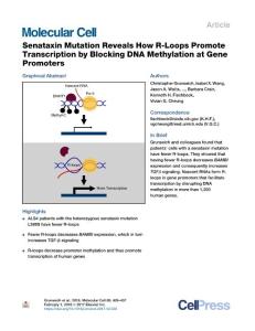 Senataxin-Mutation-Reveals-How-R-Loops-Promote-Transcription-b_2018_Molecula