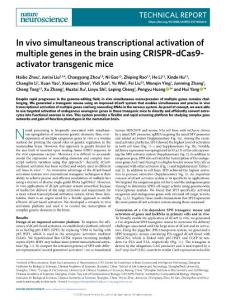 nn-2018-In vivo simultaneous transcriptional activation of multiple genes in the brain using CRISPR–dCas9-activator transgenic mice