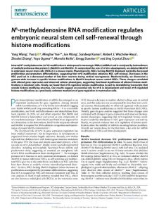 nn-2018-N6-methyladenosine RNA modification regulates embryonic neural stem cell self-renewal through histone modifications