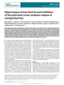 nn2018-Hippocampus-driven feed-forward inhibition of the prefrontal cortex mediates relapse of extinguished fear