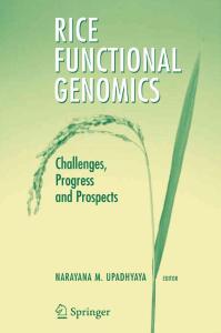 Rice Functional Genomics
