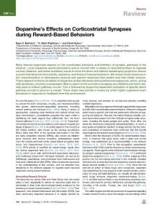 Dopamine-s-Effects-on-Corticostriatal-Synapses-during-Reward-Base_2018_Neuro