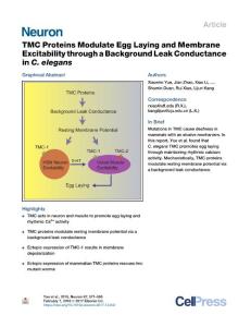 TMC-Proteins-Modulate-Egg-Laying-and-Membrane-Excitability-through-_2018_Neu