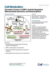Circadian-Control-of-DRP1-Activity-Regulates-Mitochondrial-D_2018_Cell-Metab