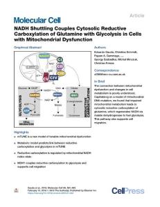 NADH-Shuttling-Couples-Cytosolic-Reductive-Carboxylation-of-Glu_2018_Molecul