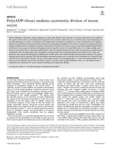 cr2018-Poly(ADP-ribose) mediates asymmetric division of mouse oocyte