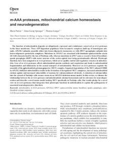 cr201817-m-AAA proteases, mitochondrial calcium homeostasis and neurodegeneration