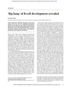 Genes Dev.-2018-Murre-93-5-‘Big bang’ of B-cell development revealed
