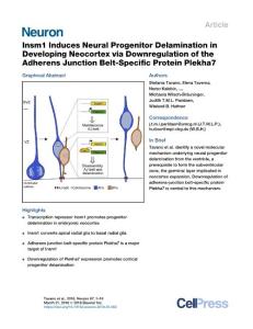 Insm1-Induces-Neural-Progenitor-Delamination-in-Developing-Neocortex_2018_Ne