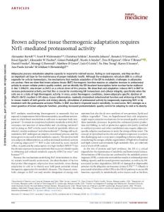 nm.4481-Brown adipose tissue thermogenic adaptation requires Nrf1-mediated proteasomal activity