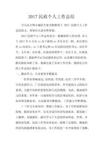 2017民政個人工作總結