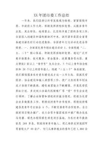 XX年团市委工作总结