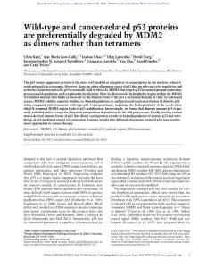 Genes Dev.-2018-Katz-Wild-type and cancer-related p53 proteins are preferentially degraded by MDM2 as dimers rather than tetramers