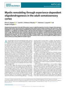 nn.2018-Myelin remodeling through experience-dependent oligodendrogenesis in the adult somatosensory cortex