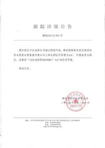 湖北省宏泰國有資本投資運營集團有限公司主體評級報告