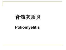 脊髓灰质炎 ppt课件