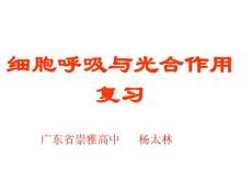 高一生物細(xì)胞呼吸與光合作用.ppt