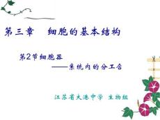 高一生物細(xì)胞器2.ppt