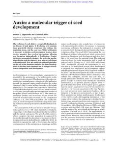 Genes Dev.-2018-Figueiredo-479-90-Auxin a molecular trigger of seed development