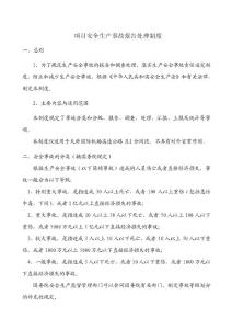 項目安全生產事故報告處理制度 (1)