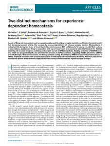 nn.2018-Two distinct mechanisms for experience-dependent homeostasis
