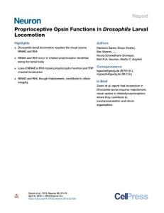 Proprioceptive-Opsin-Functions-in-Drosophila-Larval-Locomotion_2018_Neuron