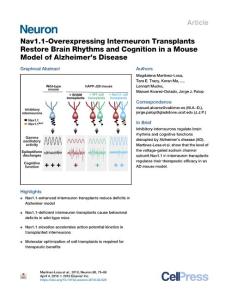 Nav1-1-Overexpressing-Interneuron-Transplants-Restore-Brain-Rhythms_2018_Neu