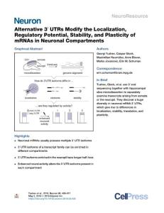 Alternative-3--UTRs-Modify-the-Localization--Regulatory-Potential--_2018_Neu