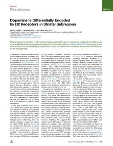 Dopamine-Is-Differentially-Encoded-by-D2-Receptors-in-Striatal-Su_2018_Neuro