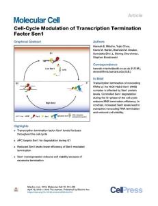 Cell-Cycle-Modulation-of-Transcription-Termination-Factor-_2018_Molecular-Ce
